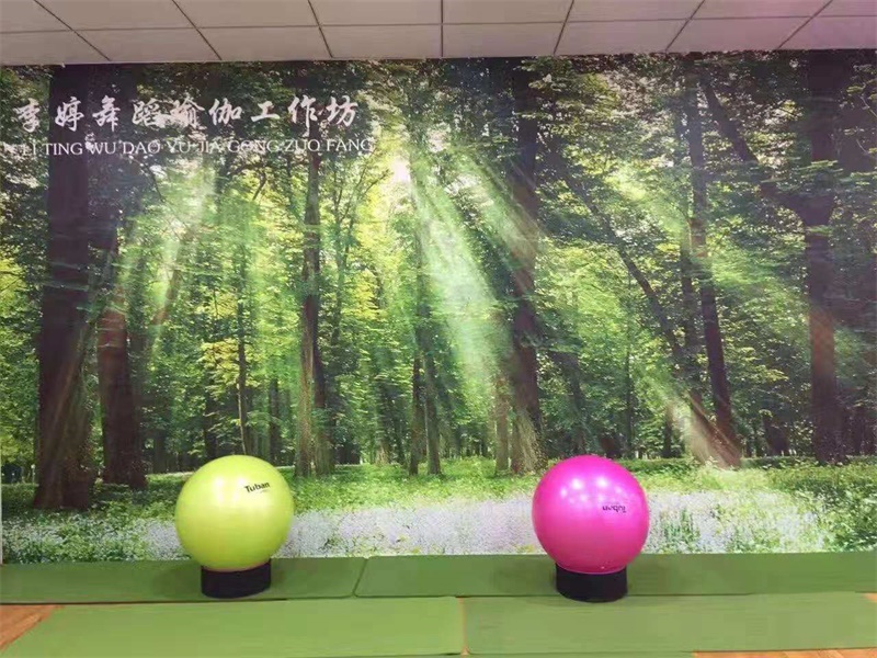 圣哲舞蹈瑜伽馆